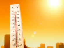 Жегата погуби 280 човешки живота за няколко дни