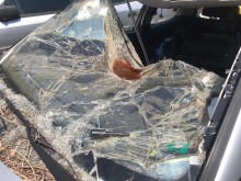 Пиянде се натресе във вратата на градски басейн