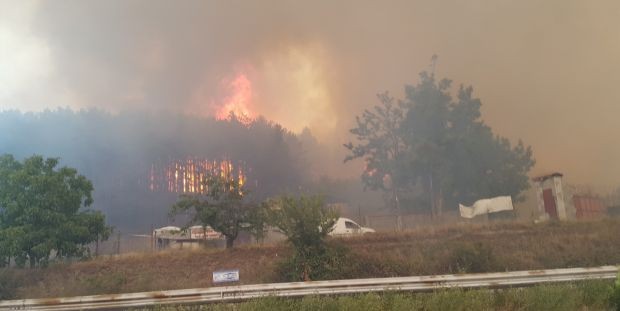 Овладян е големия пожар край Казанлък каза шефът на пожарната