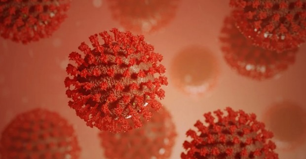 Новите случаи на заразени с коронавирус са 1644 за последното денонощие