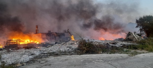 От полицията дадоха подробности за свирепия пожар край Меден рудник