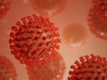 26,8% са положителните проби за последното денонощие