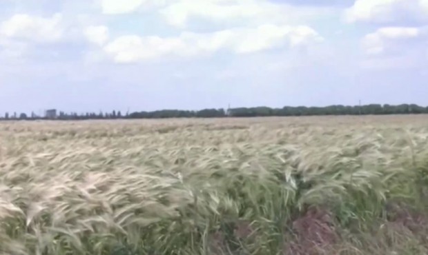 Украйна разполага със зърно за около 10 милиарда долара, обяви