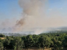 Първи кадри от огнения ад край Пловдив