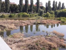 Има надежда за река Марица! Бръмчат резачки, падат цели острови