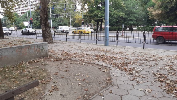 Този град чисти ли се питат читатели на Plovdiv24 bg и
