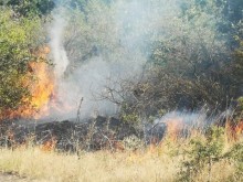 Пожарът в село Изворище е овладян