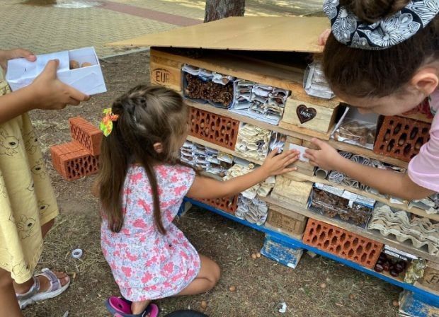 Хотел за насекоми заработи в Димитровград Това съобщиха от Детски