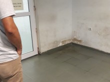 Мизерия в паспортна служба Пловдив, сравнихте я с Африка