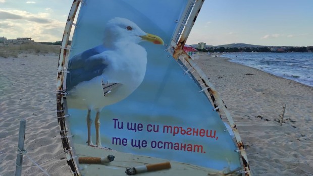 Помислете добре, преди да направите тази простотия на плажа
