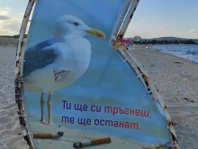 Помислете добре, преди да направите тази простотия на плажа
