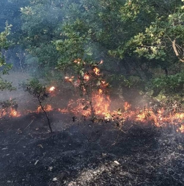 Пожар е пламнал край село Изворище около 11 30 часа  днес