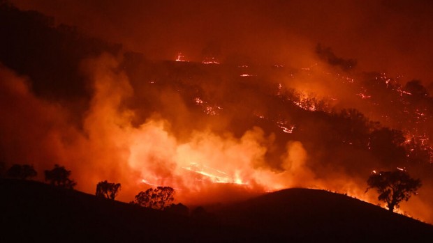 Големи пожари горят в Хърватска и Черна гора Пламъците и