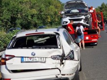 Огромно задръстване към Южното Черноморие заради лебед