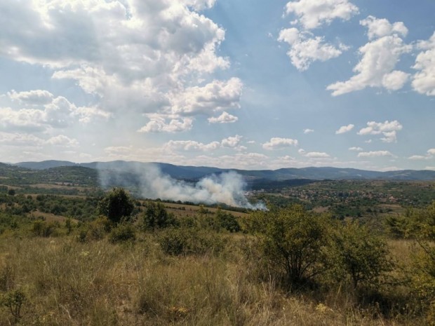 Сухи треви и храсти горят край благоевградското село Селище Огънят