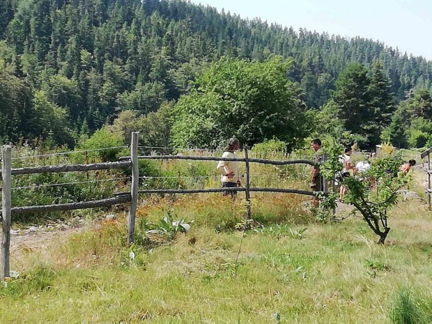Кметът на родопското село: Ходят голи, но не всички. Кротки са. То и на морето има голи