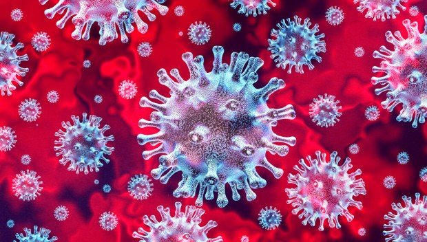 411 са новите случаи на коронавирус у нас Положителни са 24