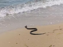 ���� �� �����: � ������ �� �����, ����. ��� �� ������ �� �����, ��� � �����