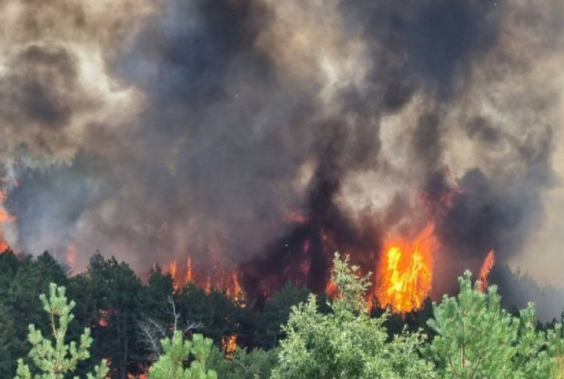 Продължава гасенето на огромния горски пожар между панагюрските села Елшица