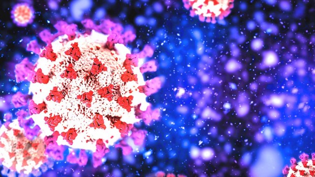 1636 са новите случаи на коронавирус у нас през последното денонощие