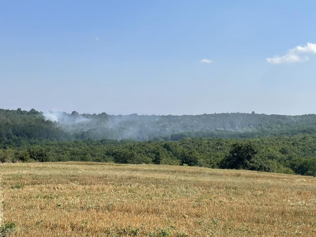 Пожарът между селата Белила и Проход в община Средец, който
