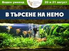 Воден уикенд "В търсене на Немо" в Природонаучен музей – Пловдив