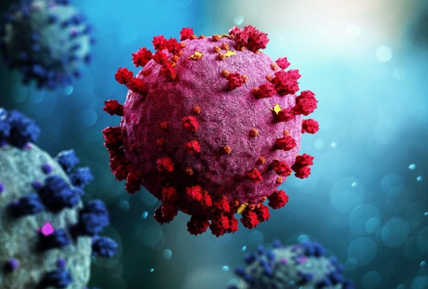 1274 са новите случаи на коронавирус у нас през изминалото денонощие