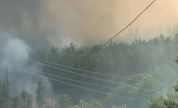 Частично бедствено положение заради голям пожар е обявено в общините