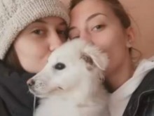 ���������� �����: ��������� ������� �� �������� ������