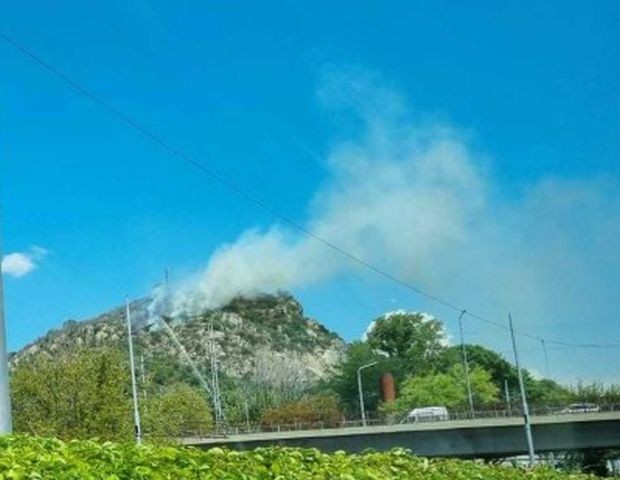 Пожарът на Младежки хълм е почти локализиран, съобщи за Plovdiv24.bg