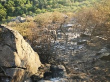 Вижте пораженията от вчерашния пожар на Младежкия хълм