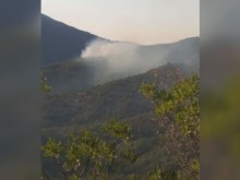 Пожар в района на Кресненското дефиле