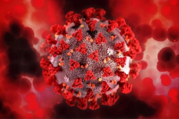 1087 са новите случаи на коронавирус у нас за последните 24