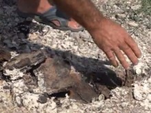 Сушата "изпи" Дунава, показаха се въглища