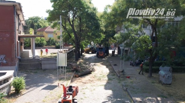Пловдивчани изказаха своето разочарование от поголовната сеч на дървета по