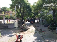 Пловдивчани: Реве ни се! Не оставиха нито едно дърво