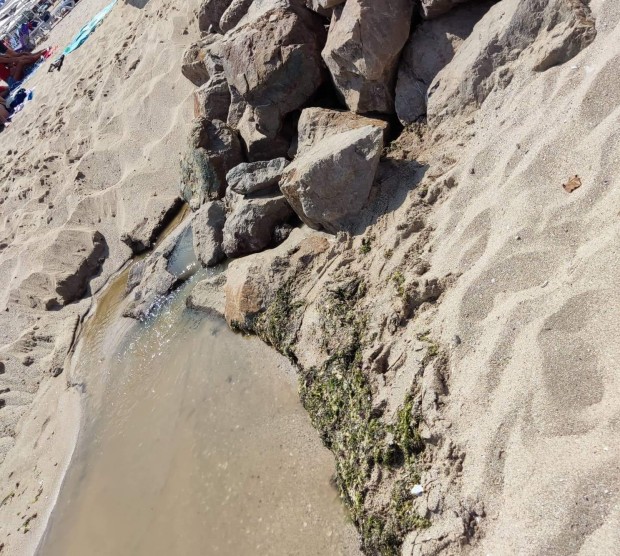 The terrible men movement on the Sozopol seashore, the sea has turned brown