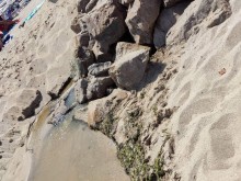 Гадости текат на плаж в Созопол, морето стана кафяво