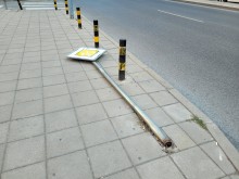 Знак в Пловдив указва път с предимство на мравките?