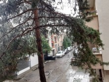 Мощна гръмотевична буря връхлетя София