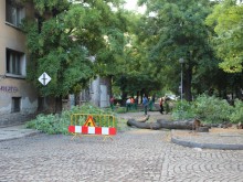 Затвориха за движение поредна отсечка от ул. "Даме Груев"