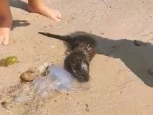 ����� ������� ����� ������ �� ����� ��� �����
