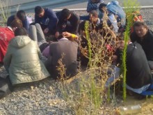 Задържаха 28 нелегални мигранти на ГКПП "Дунав мост"-Русе