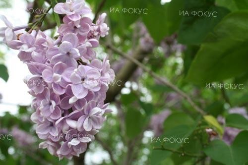 НИМХ: Максималните температури утре ще са между 20° и 25°, в София около 20°