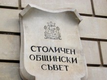 Общински съветници предлагат площад и градина в София да се наричат "Героите на Украйна" и "Борис Немцов"