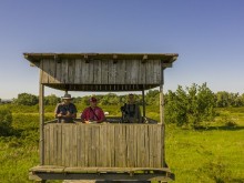 В Регионален исторически музей - Русе ще бъде представена презентация на тема "Методи за дистанционен мониторинг на колониално гнездящи видове птици във влажни зони в Северна България"