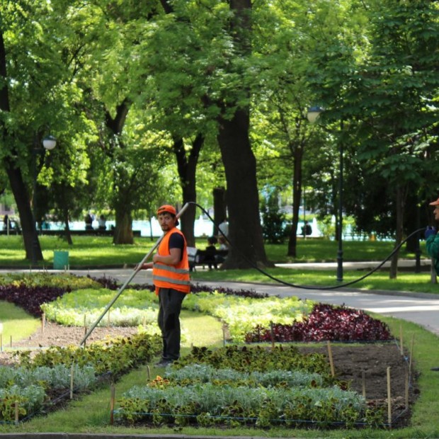 Общинското предприятие "Градини и паркове" в Пловдив търси да назначи работници