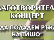 Младите таланти на Добрич се обединяват в поредна благородна кауза - благотворителен концерт "Да подадем ръка на Тишо!"