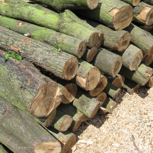 Незаконно добити дърва са огрев са иззети при проверки на полицията във Велинград