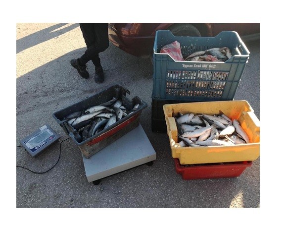 155 кг прясна риба дари ИАРА на медицинския персонал, работещ на първа линия в Ковид отделение към УМБАЛ "Света Марина" – Варна